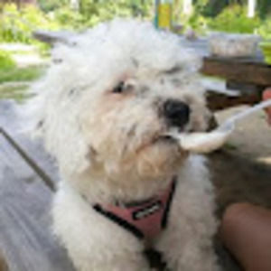 Meet your Posher, Nova